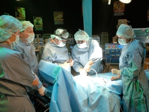 /pliki/zdjecia/don 1.jpg